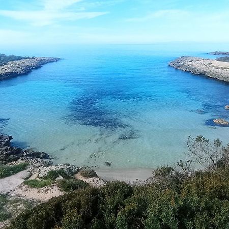 Casa Vacanze Il Carrubo 莱波拉诺 外观 照片